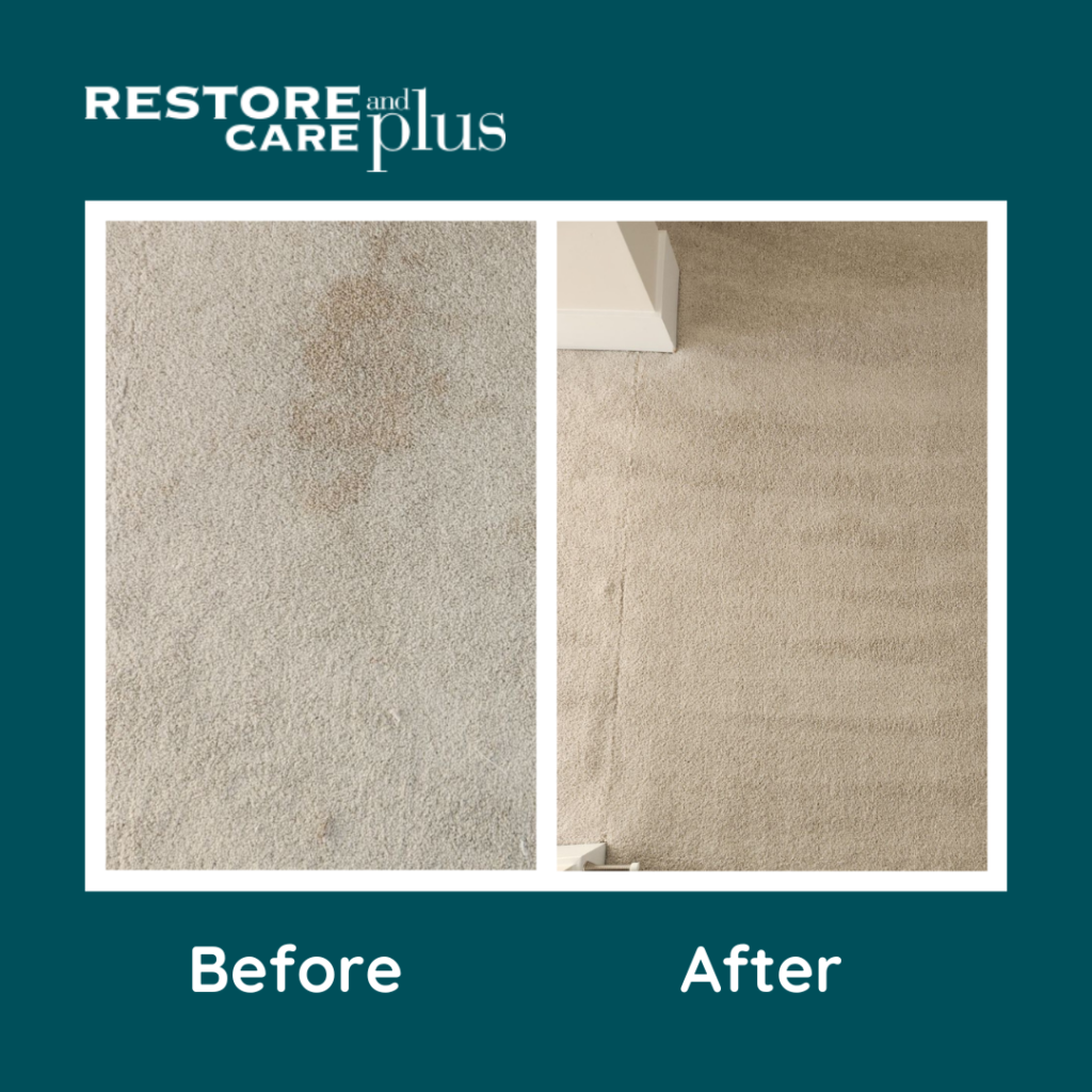 Before and after photo of Ottawa carpet cleaning services. Before: A dirty carpet. After: Expertly cleaned.